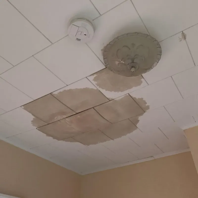 Ceiling Water Damage Repair in Norton Center, MA