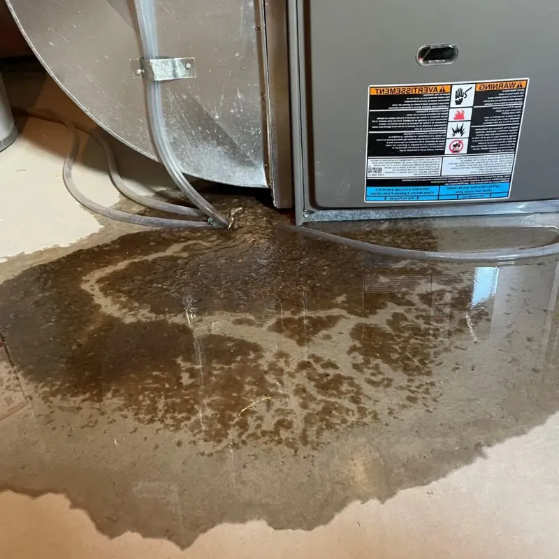 Pipe Burst and Leak Restoration in Norton Center, MA